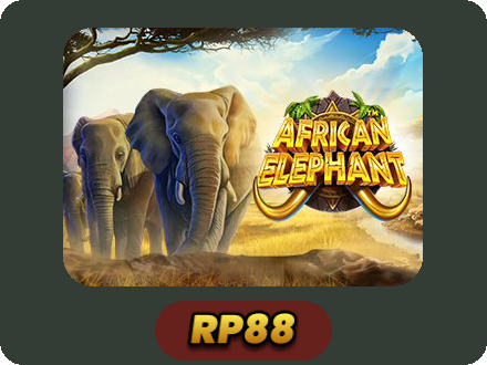 African Elephant